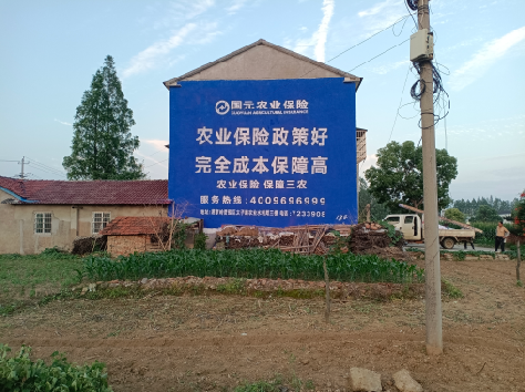 鄂州墙体广告的优劣势你知道吗？